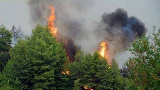 Αυξημένη επικινδυνότητα για δασικές πυρκαγιές από σήμερα μέχρι και την Παρασκευή