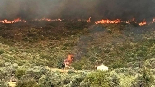 Συνεχίζεται η μάχη με τις φλόγες στην πυρκαγιά στην Εύβοια