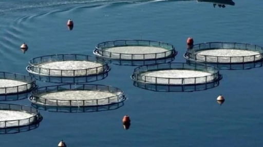 Βύθιση σκάφους και θάνατος αλιεργάτη σε εγκαταστάσεις ιχθυοκαλλιέργειας στη Χίο