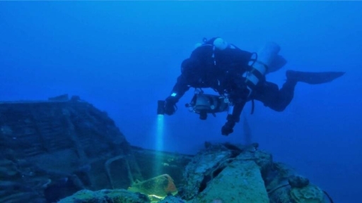 Εγκρίθηκε η δυνατότητα πόντισης τεχνητών υφάλων