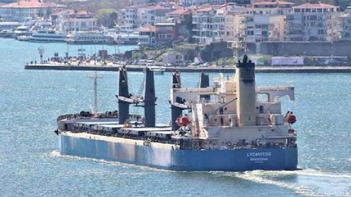 Οι Χούθι ανέλαβαν την ευθύνη για το χτύπημα στο ελληνόκτητο πλοίο στον κόλπο του Άντεν
