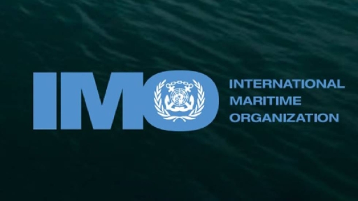 Ο ΙΜΟ ζητά τον άμεσο τερματισμό της κρίσης στην Ερυθρά Θάλασσα